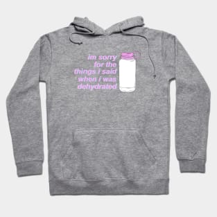 I'm Sorry For the Things I Said When I Was Dehydrated Hoodie